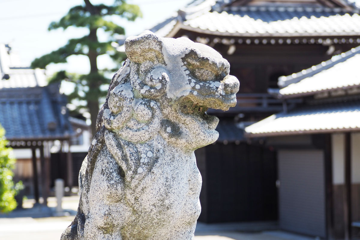 境内の獅子の写真
