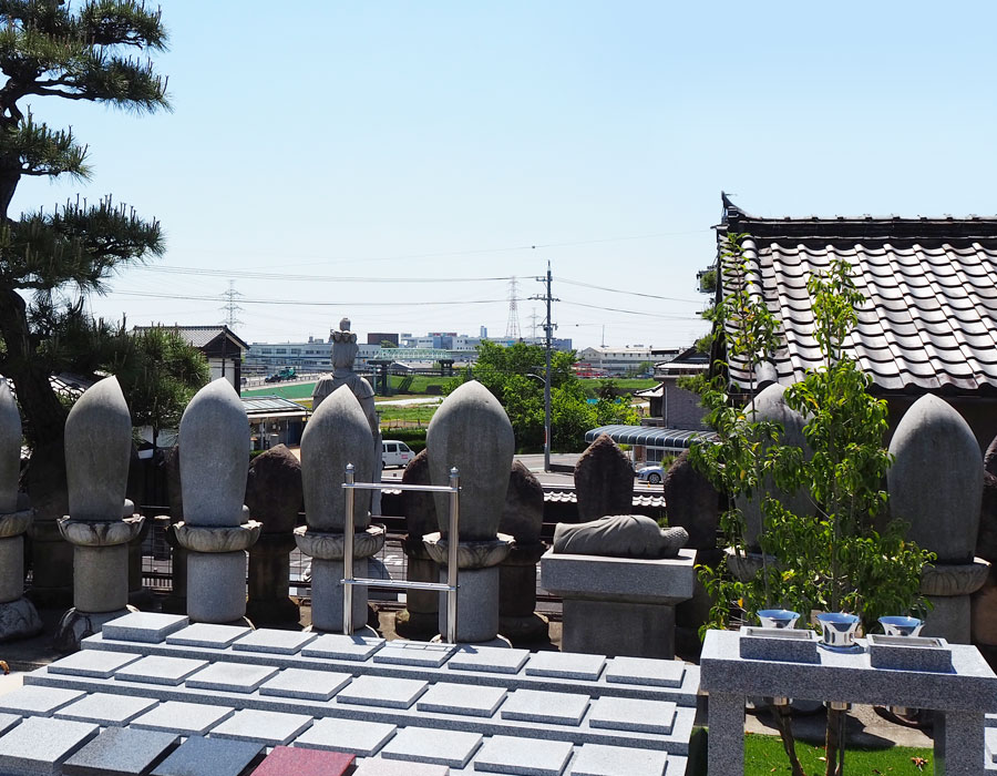 樹木葬から望む横根町の風景写真